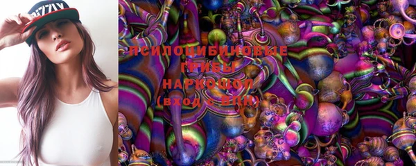 крисы Алексеевка